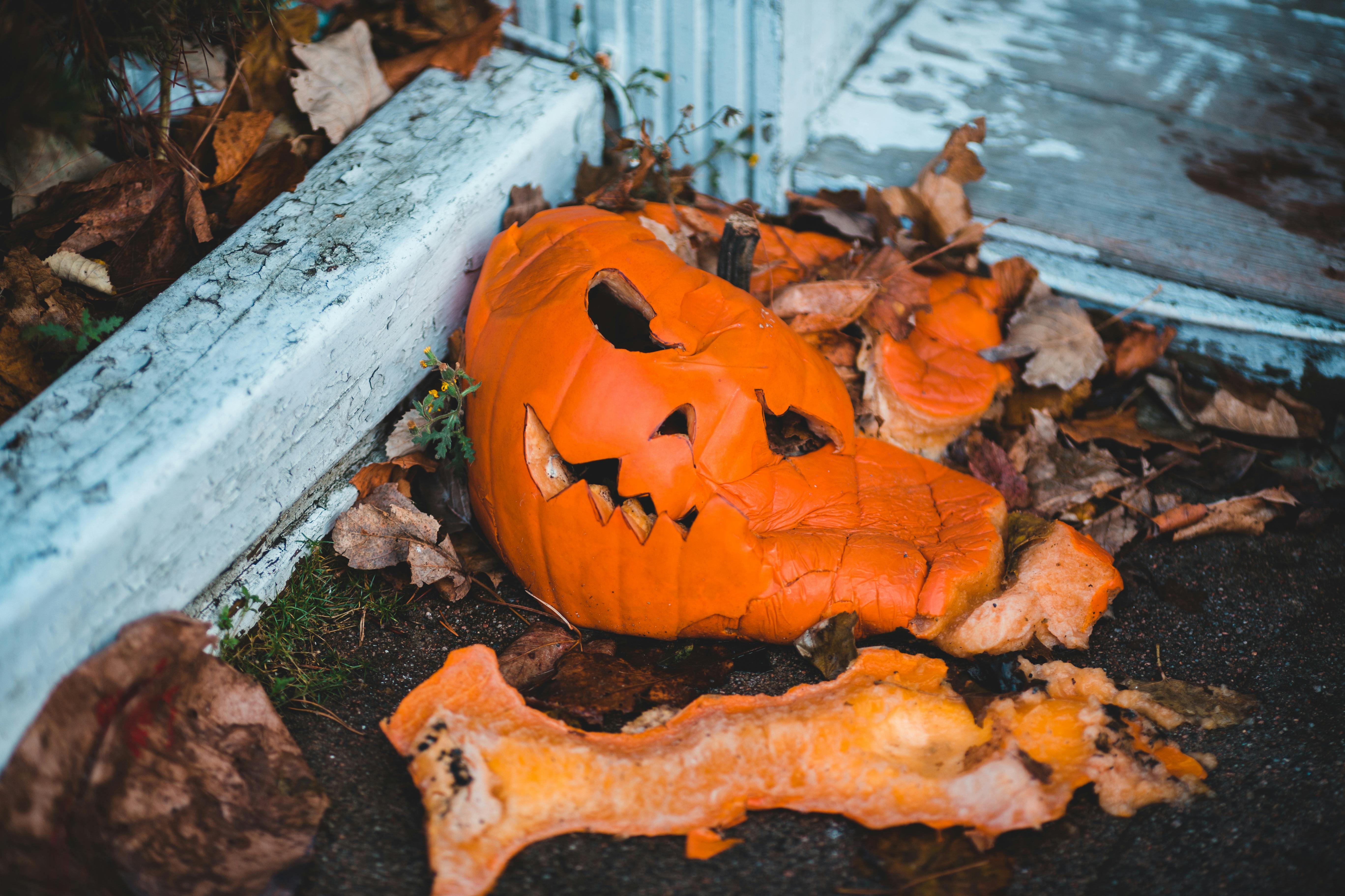 A squished pumpkin | Source: Pexels