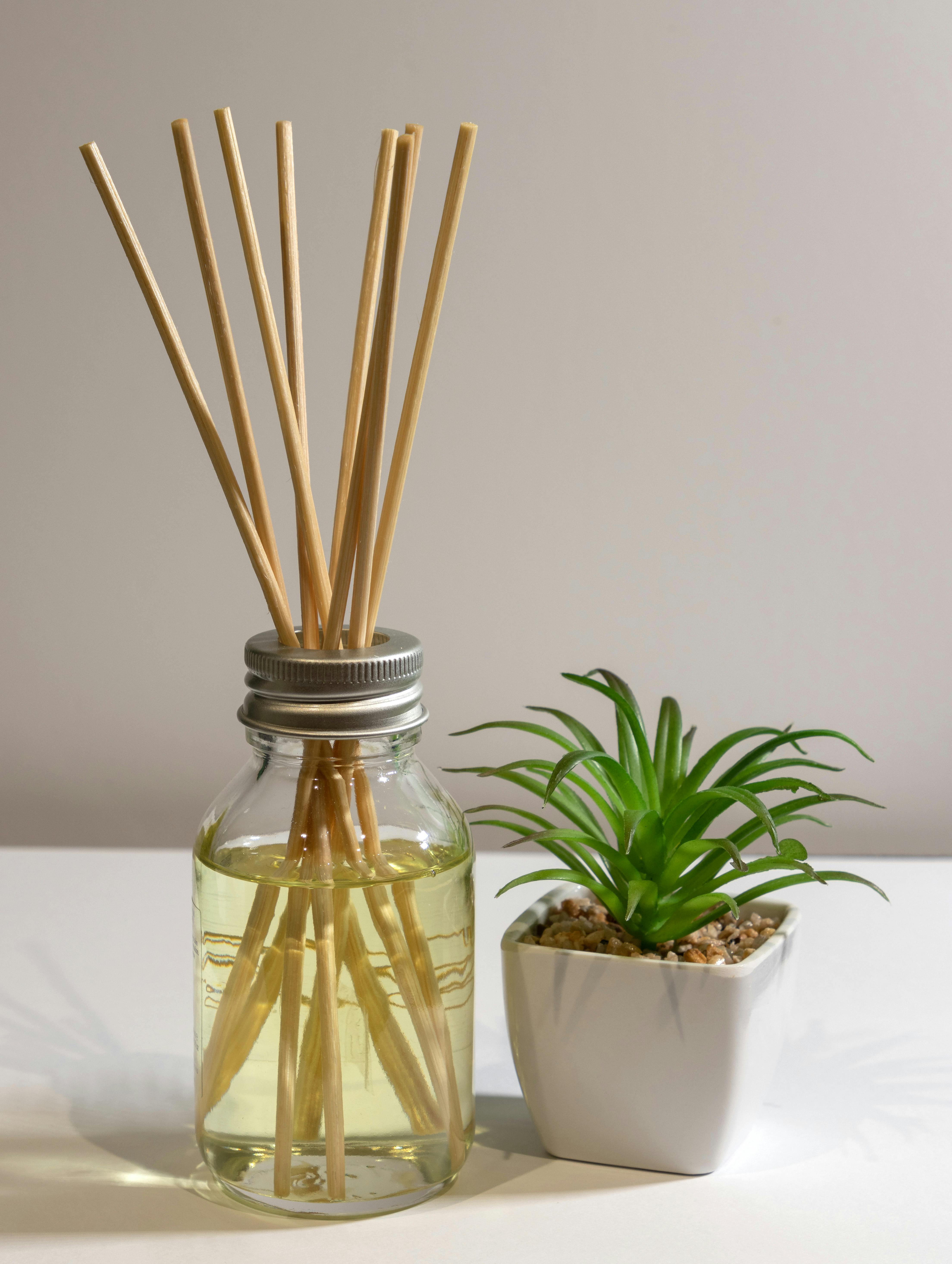 Air freshener with sticks and houseplant on table | Source: Pexels