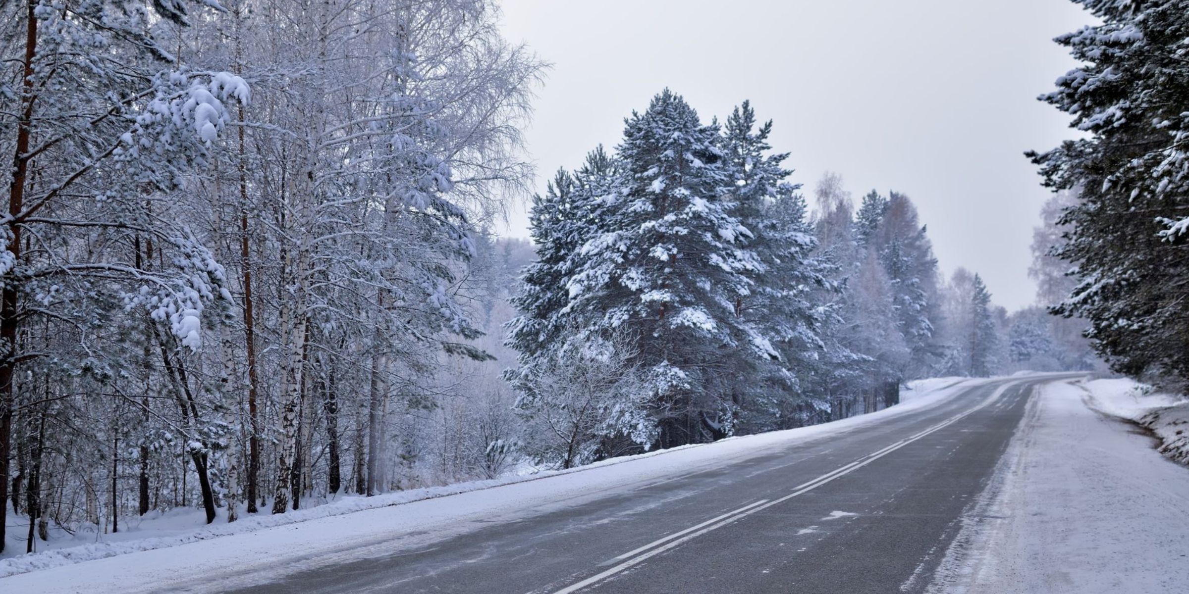 An empty road in the forest, surrounded by snow-covered trees | Source: Pexels