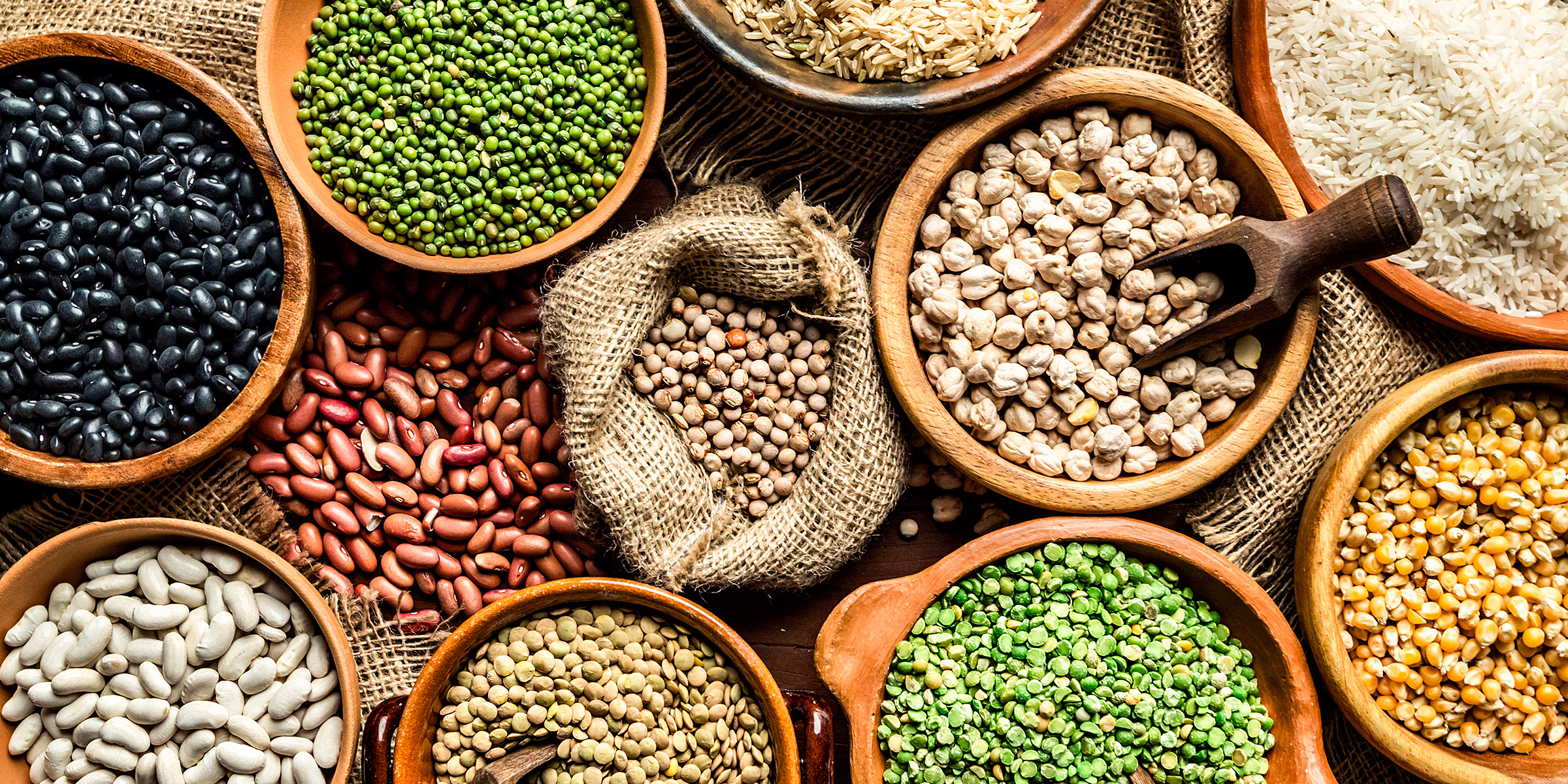 Different bowls of legumes | Source: Getty Images