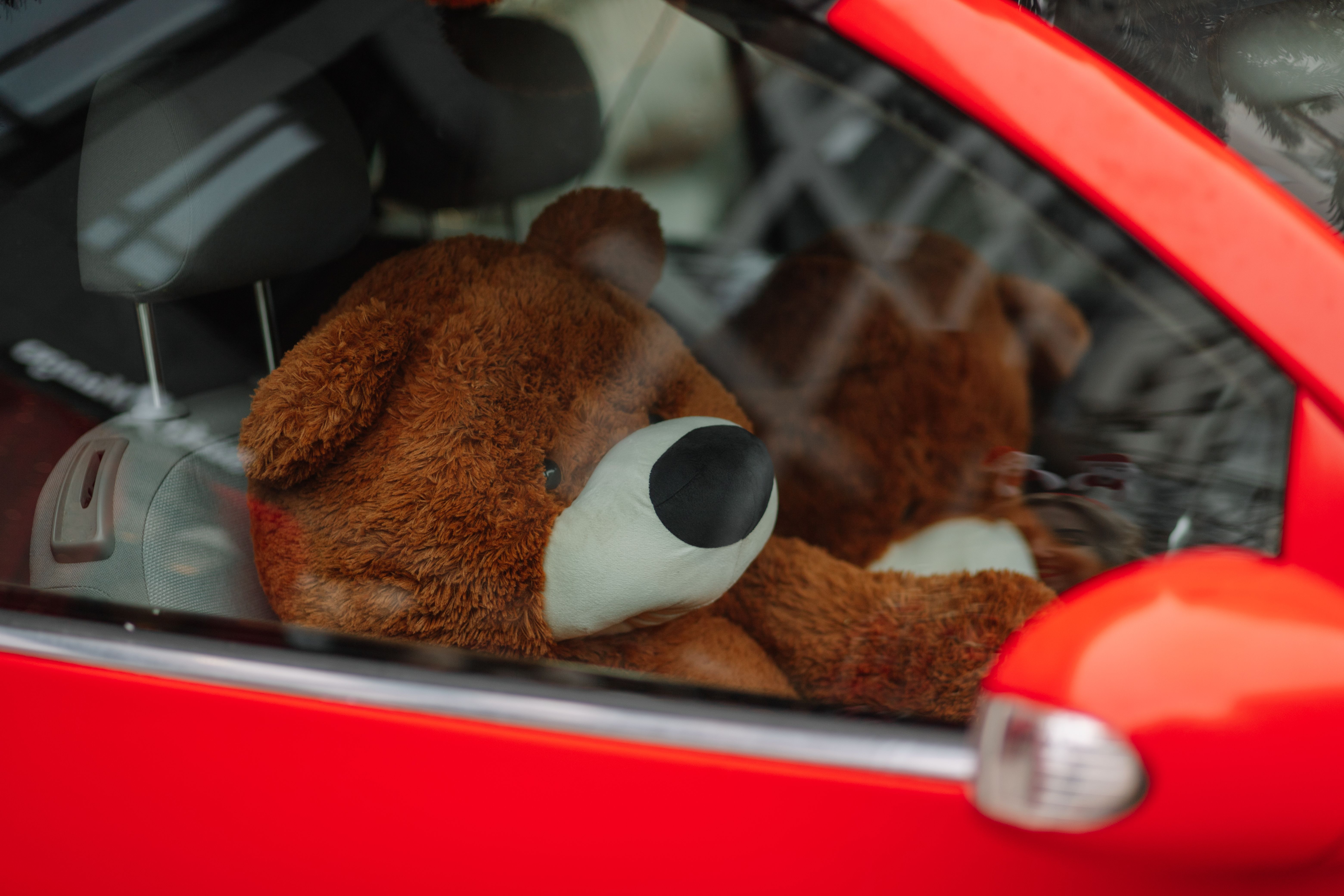 A teddy bear inside a car | Source: Pexels
