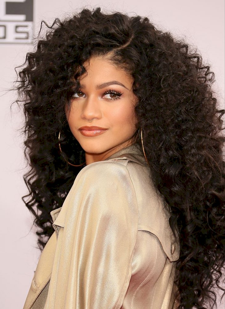 A Glimpse At Zendaya's Most Iconic Hair Transformations