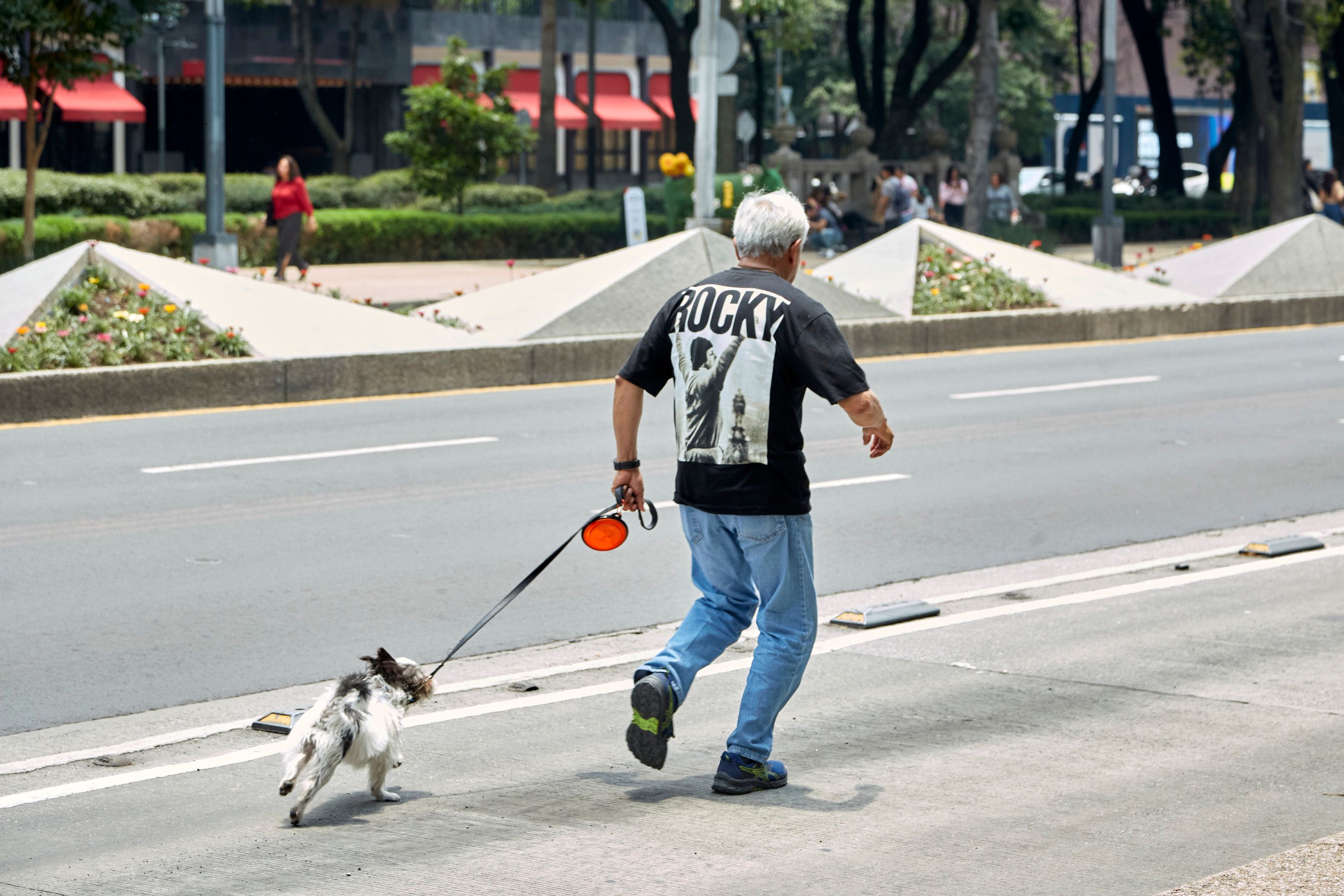 A man walking his dog | Source: Pexels