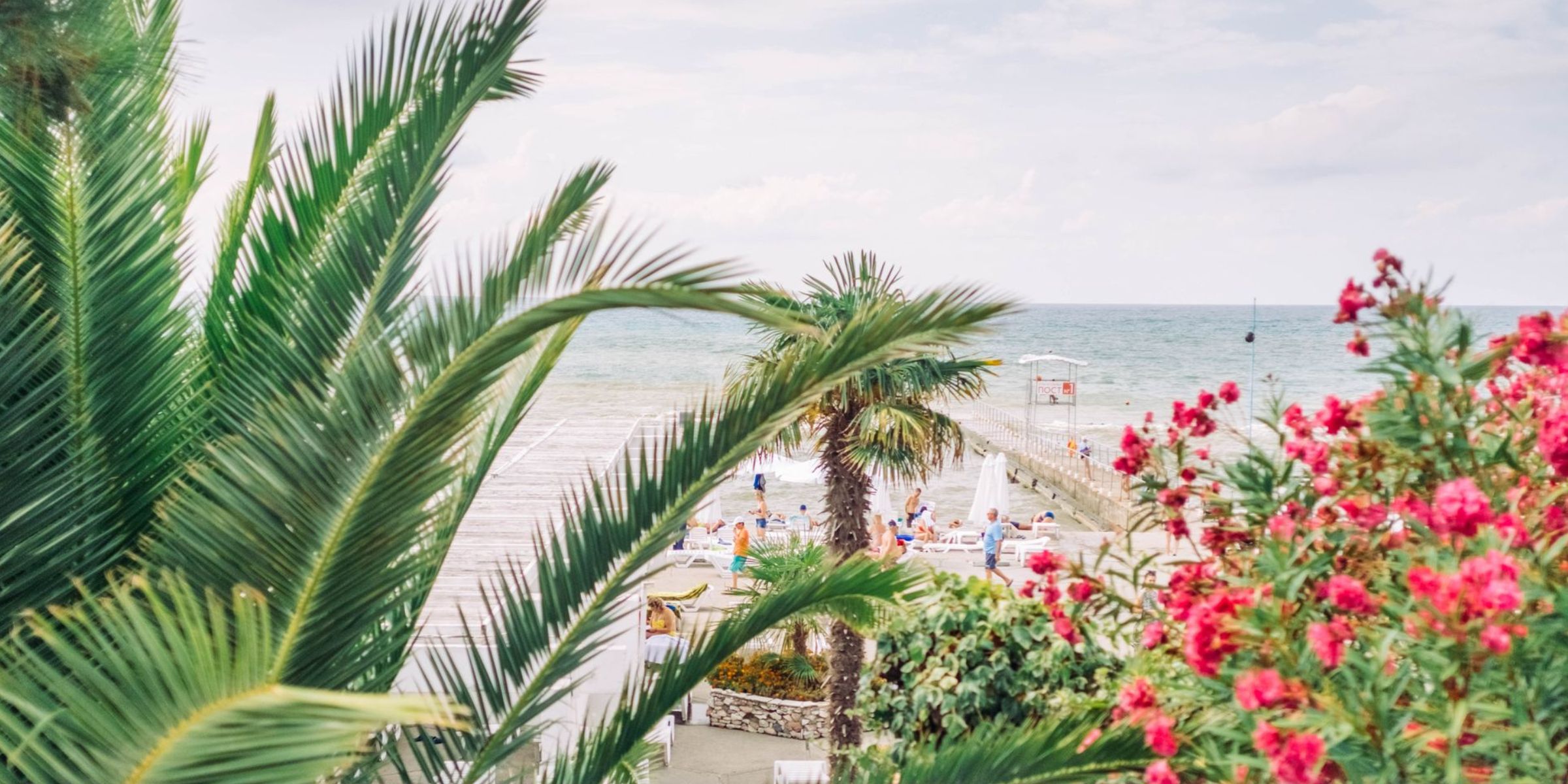 Tropical beach landscape with palm trees and bright flowers against the sea | Source: Pexels