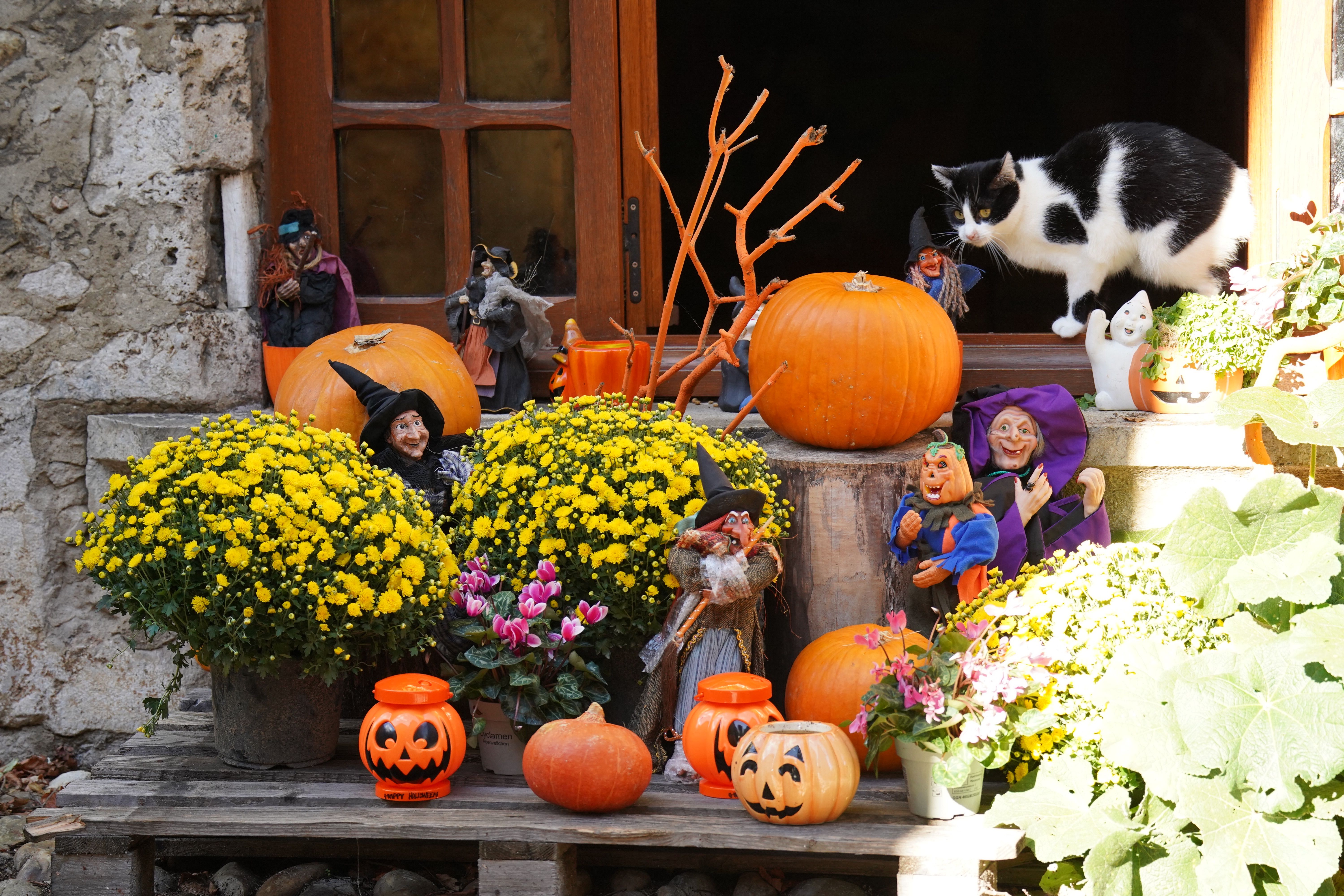 Halloween decorations | Source: Pexels