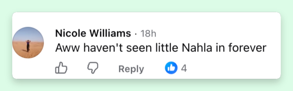 One commenter expressed nostalgic surprise at seeing Nahla again after years of rarely seeing photographs of Halle Berry's daughter. | Source: Facebook/Page Six
