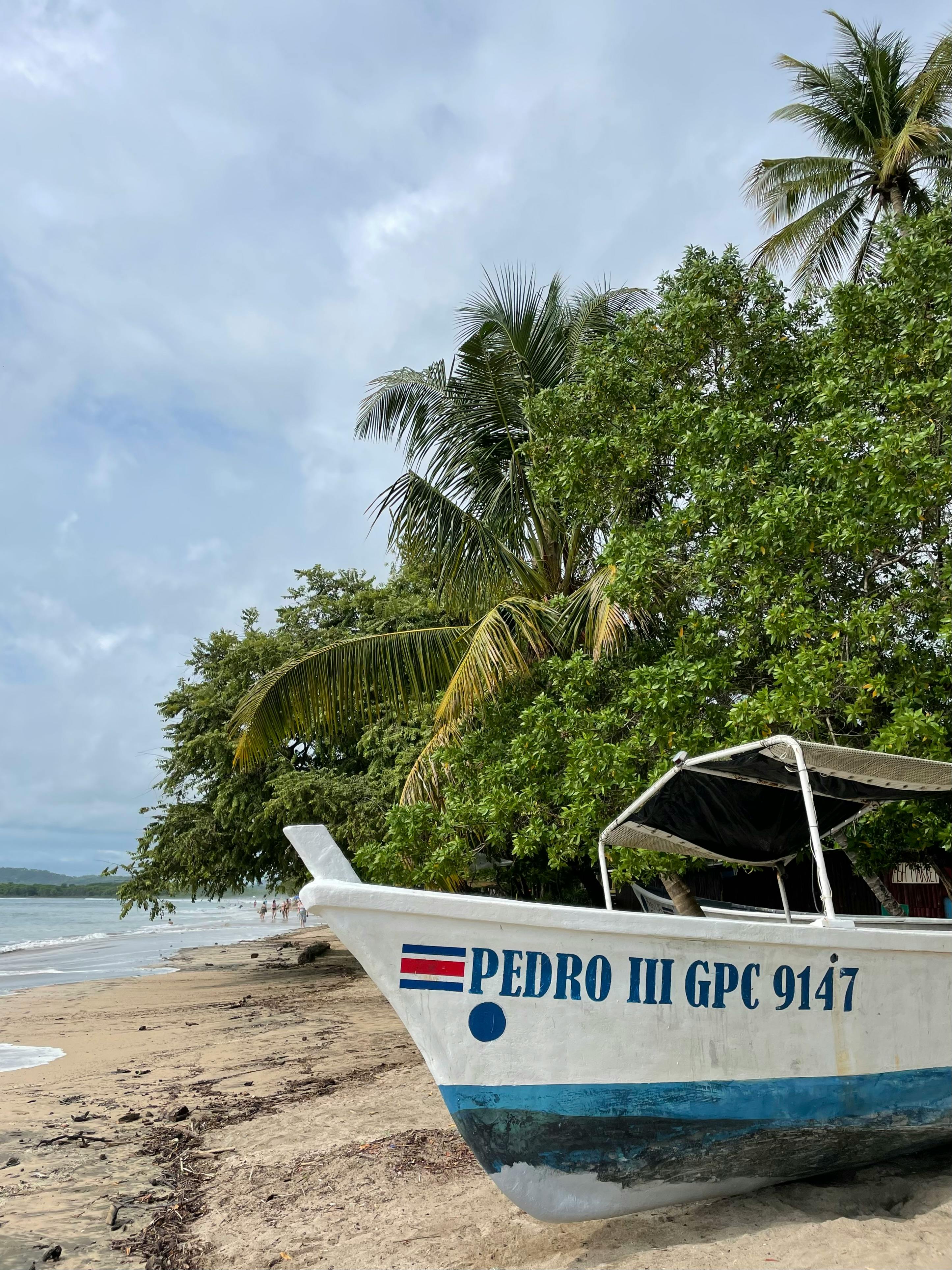 A beach in Costa Rica | Source: Pexels