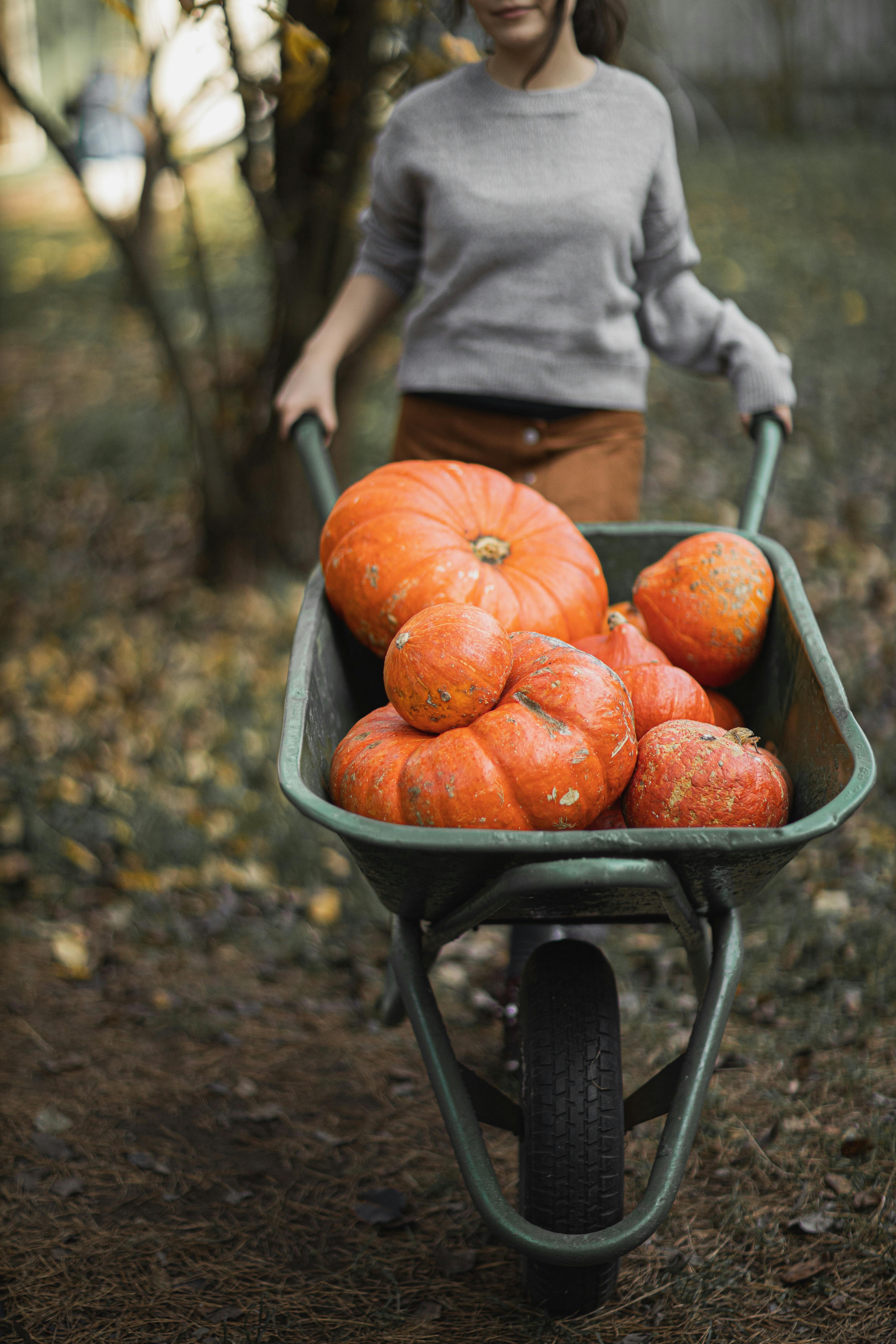 A woman with a wheelbarrow | Source: Pexels