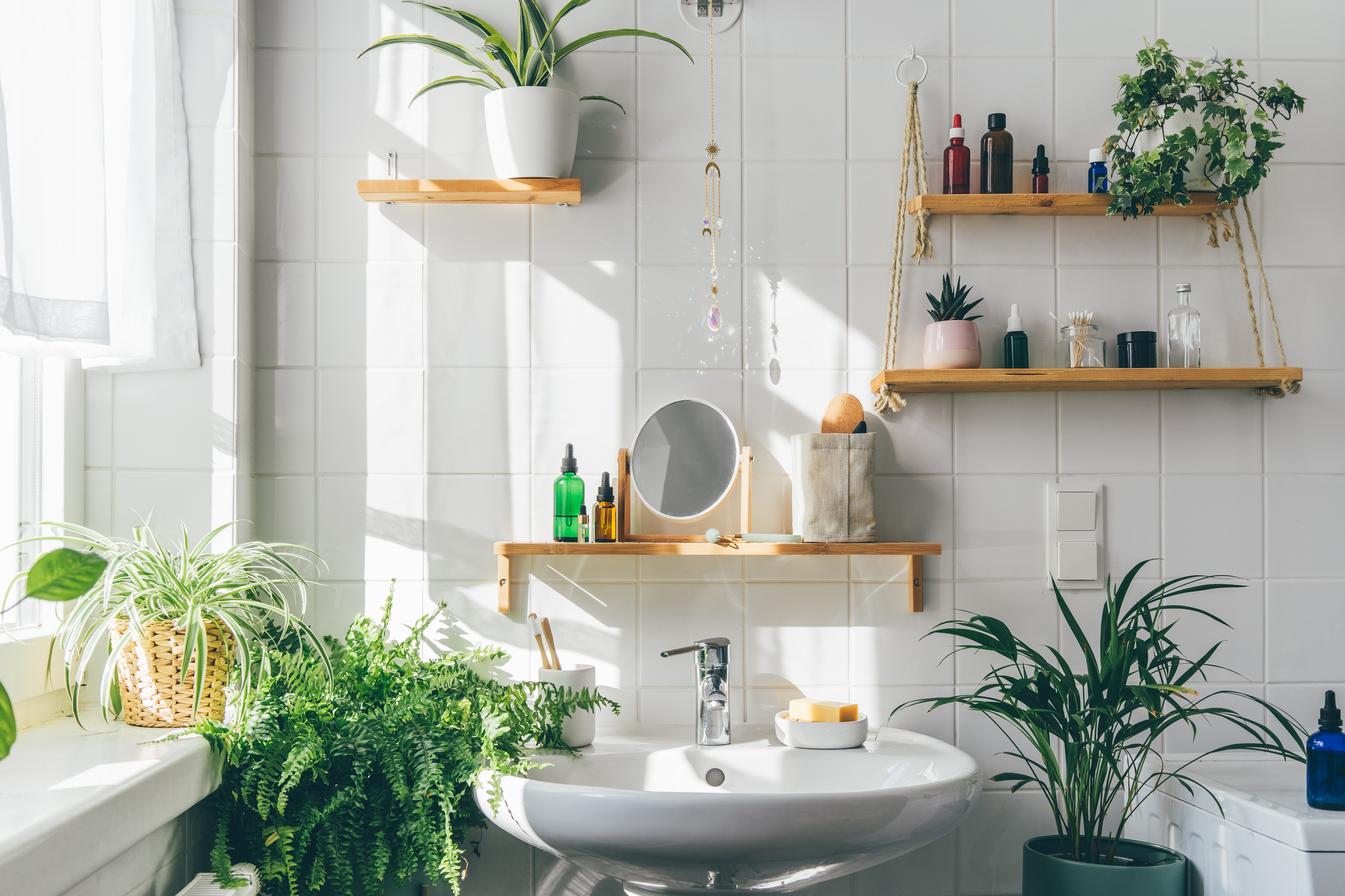 Bathroom with plants. | Source: Shutterstock