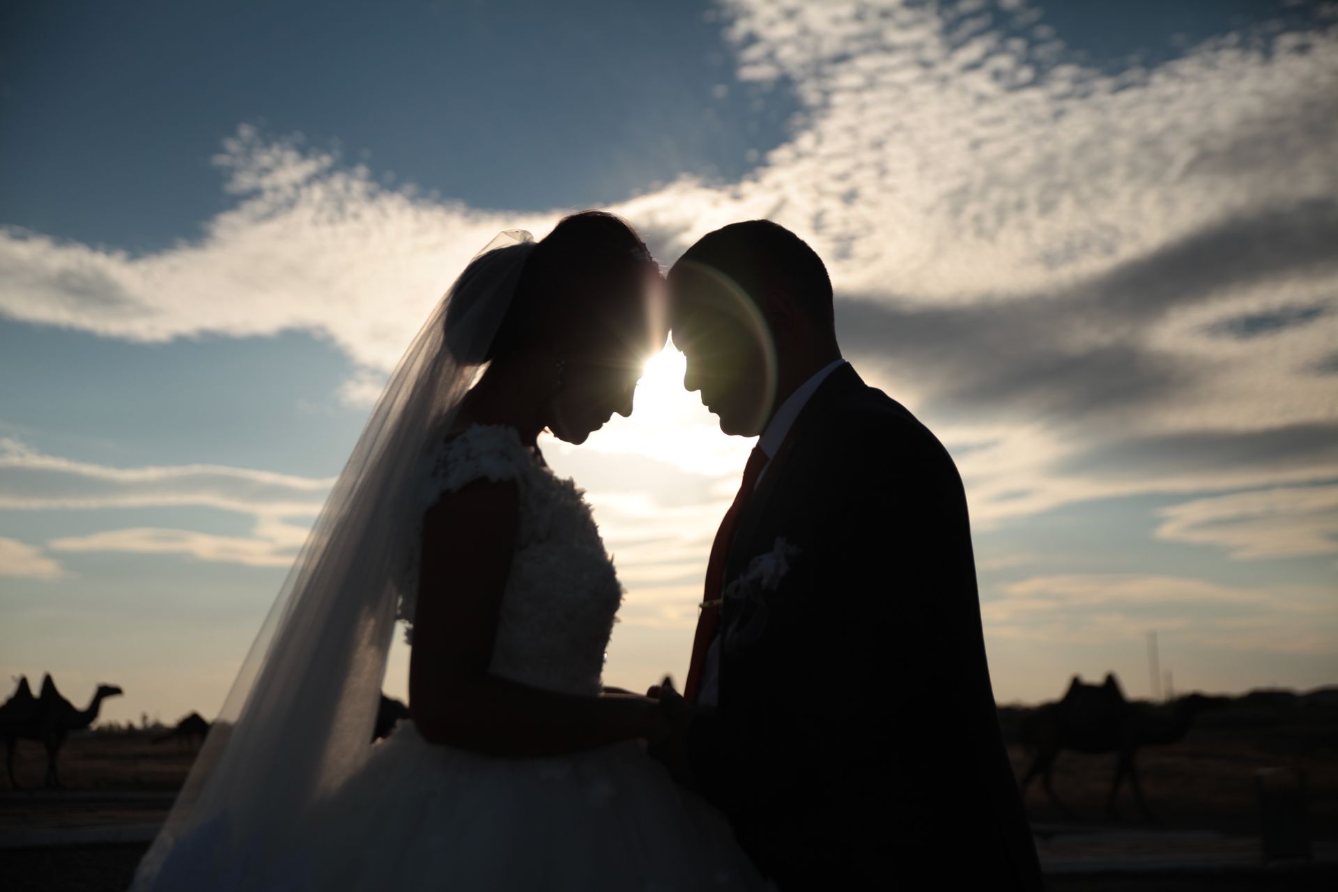 A couple on their wedding day | Source: Pexels