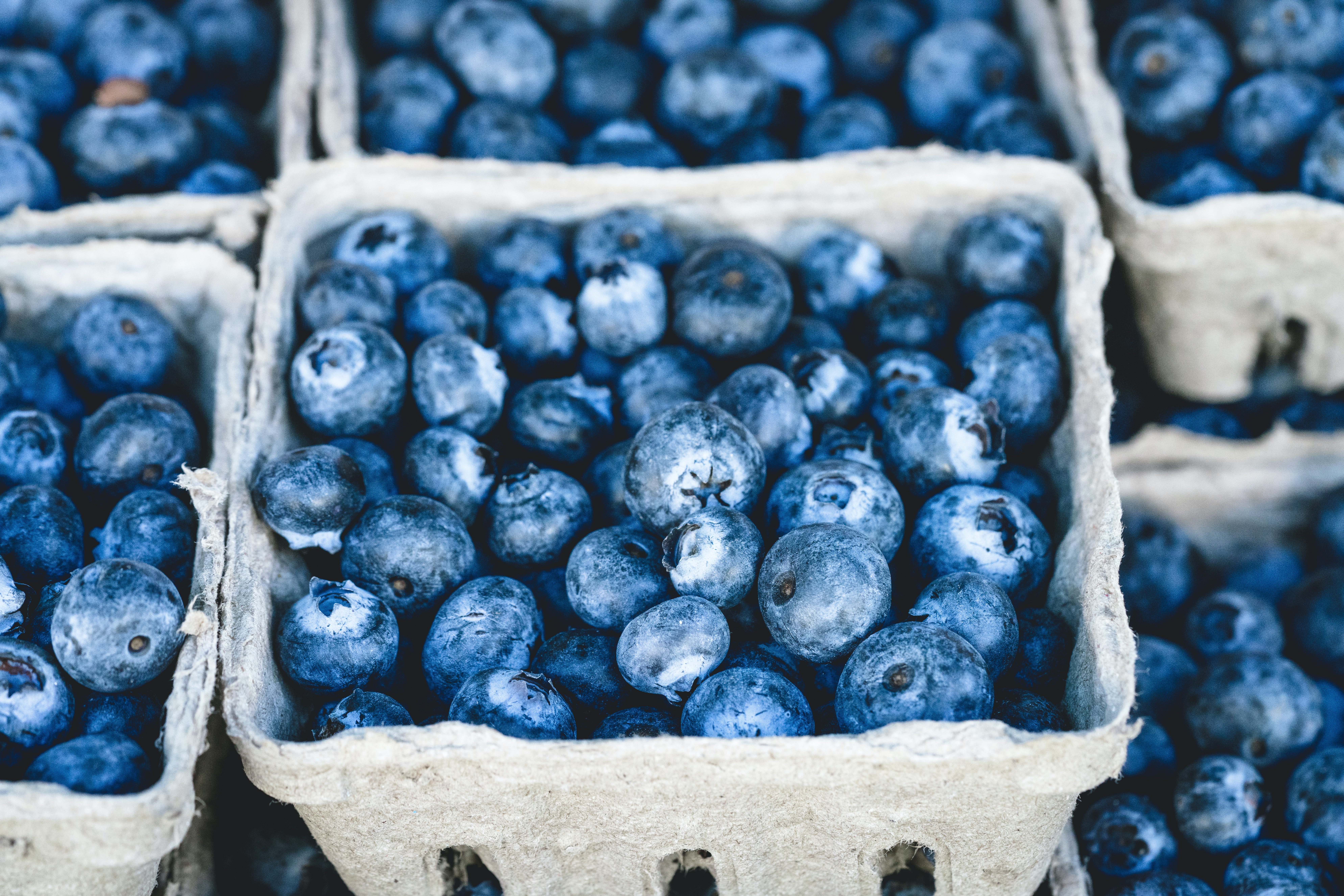 Blueberries | Unsplash 
