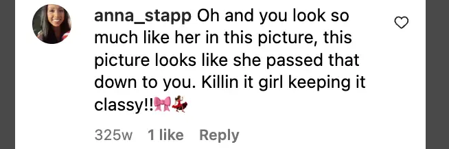 A fan's comment dated July 13, 2017 | Source: Instagram.com/ekhferrer/